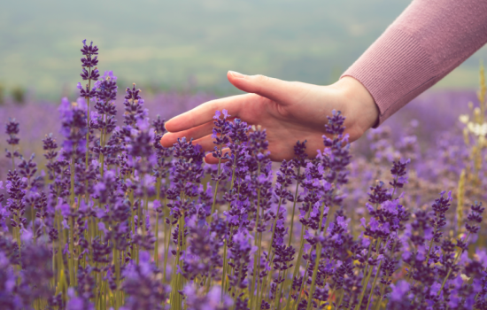 【KH伊段时光】8日游